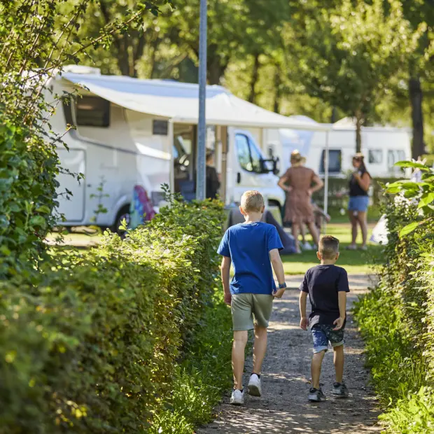 Kampeerplaats Comfort Regulier 19