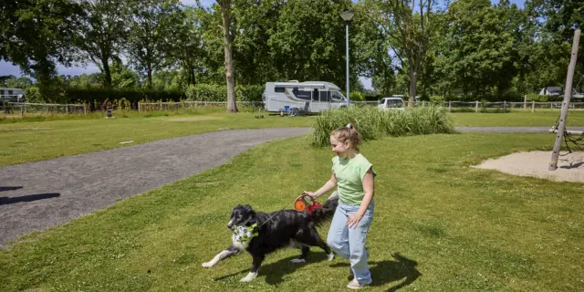 Kampeerplaats Comfort met huisdier en speelelement 16