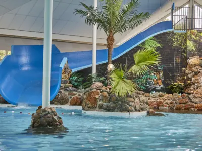 Subtropisch Zwembad 2