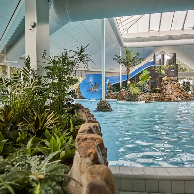 Subtropisch Zwembad 1